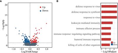 Susceptibility identification for seasonal influenza A/H3N2 based on baseline blood transcriptome